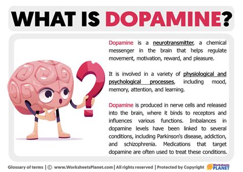 Dopamine: What It Is, Function, Deficiency & how to boost it